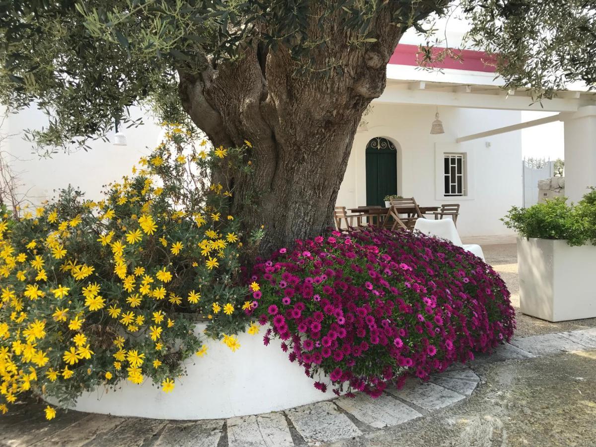 Dimora Villa Polignano a Mare Kültér fotó