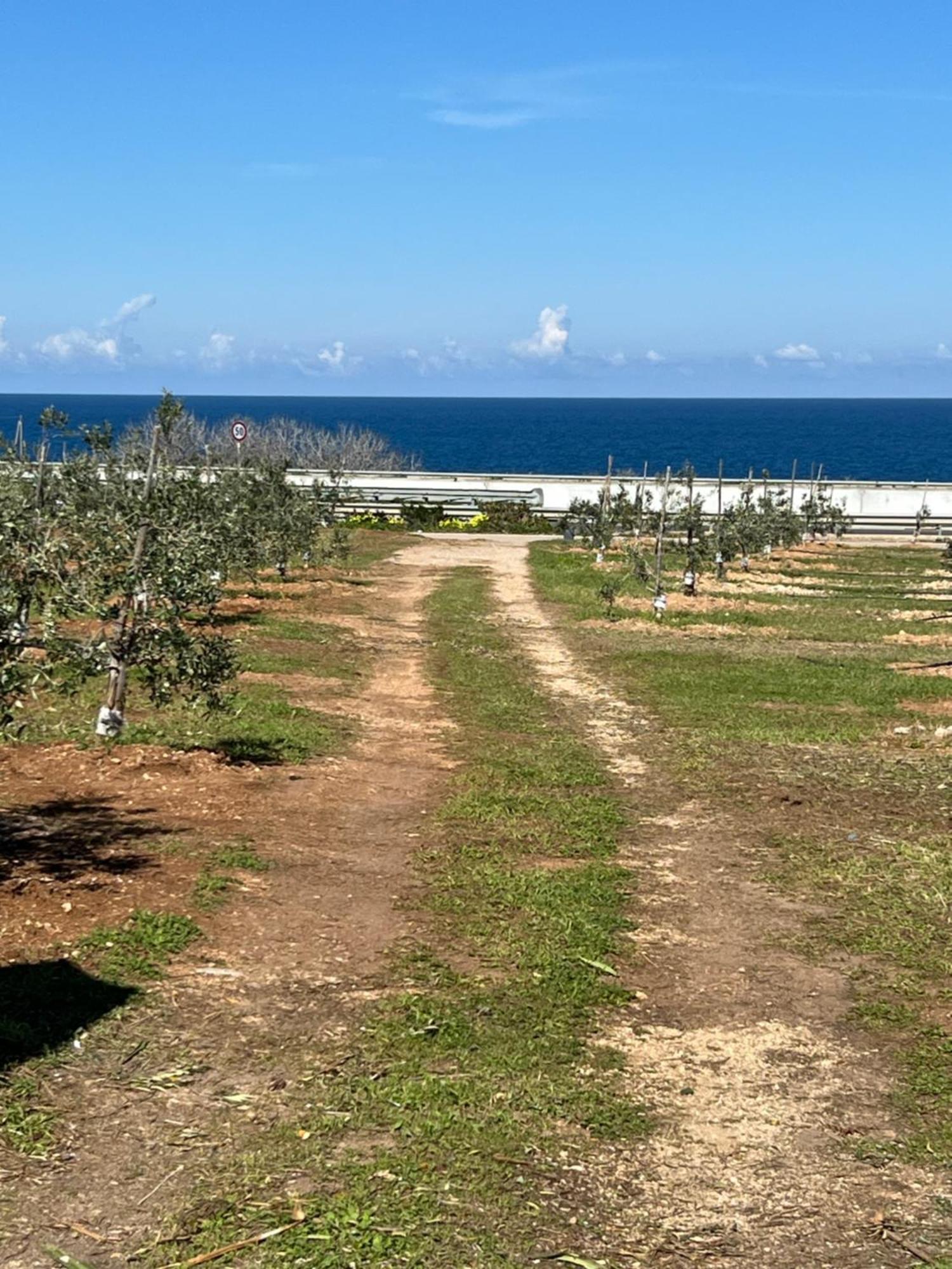 Dimora Villa Polignano a Mare Kültér fotó