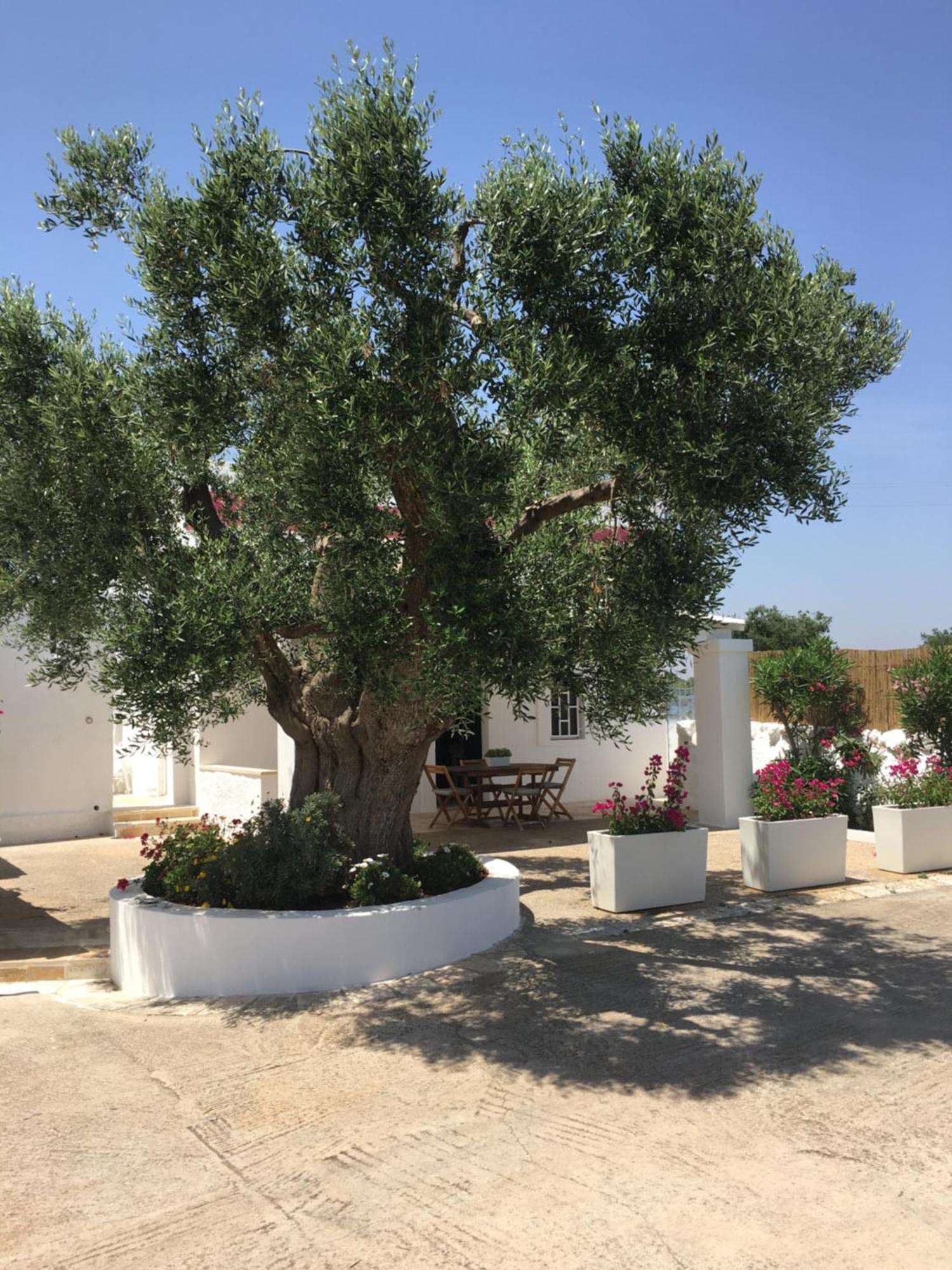 Dimora Villa Polignano a Mare Kültér fotó