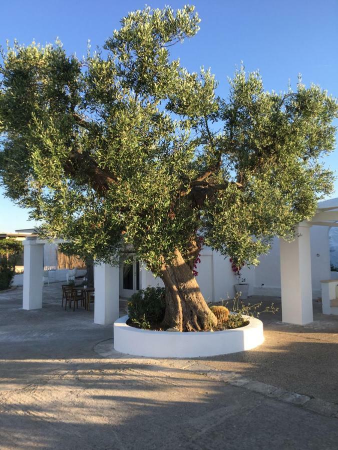 Dimora Villa Polignano a Mare Kültér fotó